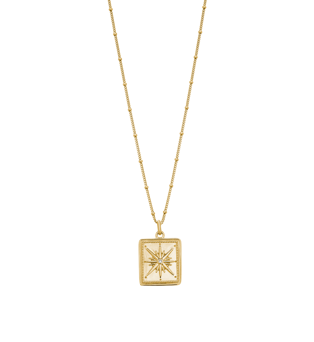 TRUE NORTH COIN NECKLACE (18K GOLD VERMEIL) - IMAGE 1