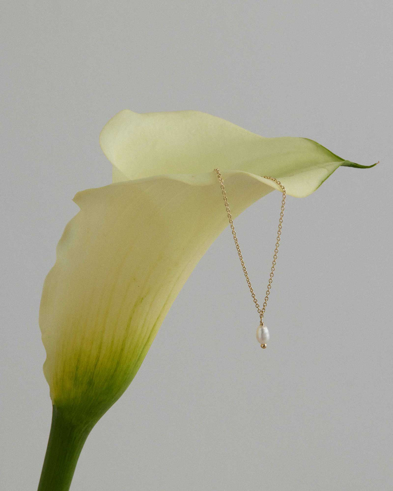 CLASSIC PEARL NECKLACE (9K GOLD) IMAGE 4
