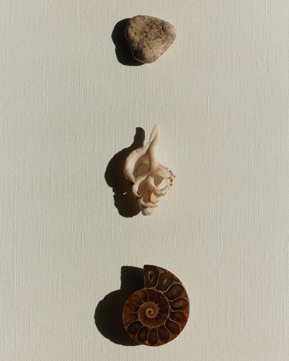 MARIS BRACELET (STERLING SILVER) IMAGE 5