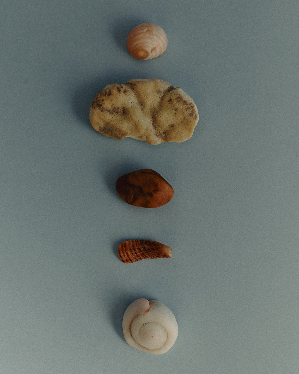 SOLARA HOOPS (STERLING SILVER)