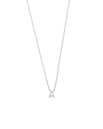 PETITE INITIAL NECKLACE (STERLING SILVER) IMAGE 1