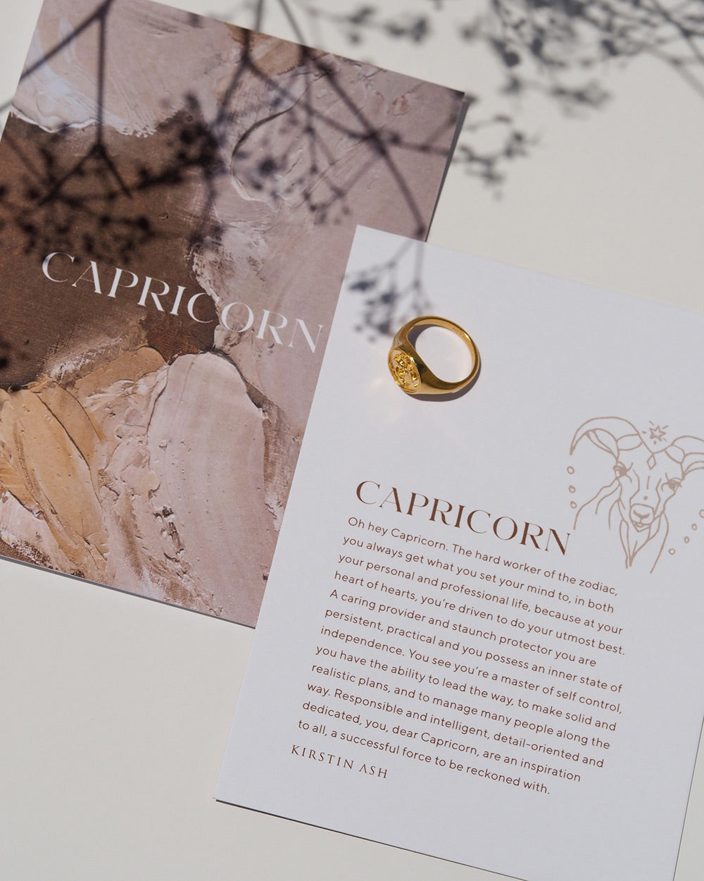 CAPRICORN SIGNET RING (STERLING SILVER) IMAGE 8