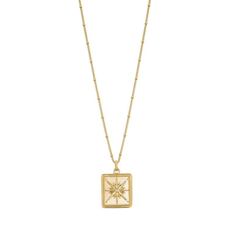 TRUE NORTH COIN NECKLACE (18K GOLD VERMEIL) IMAGE 1