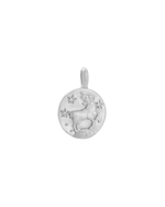 ARIES PETITE ZODIAC (STERLING SILVER) IMAGE 1