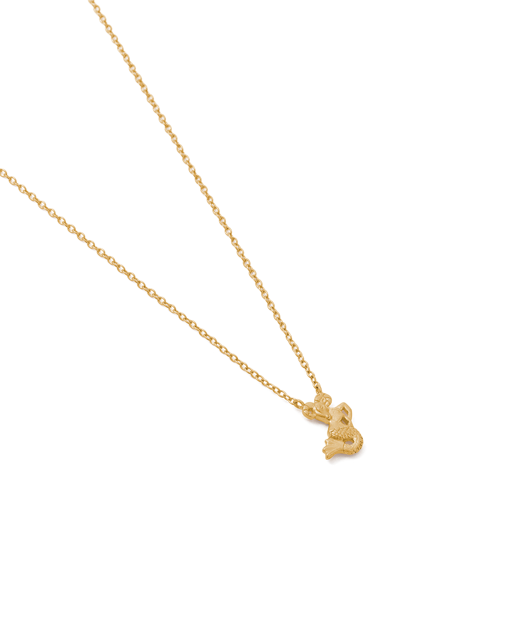 CAPRICORN STAR SIGN NECKLACE (18K GOLD VERMEIL)