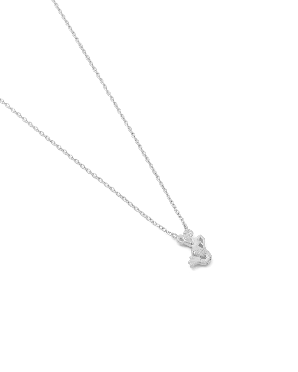 CAPRICORN STAR SIGN NECKLACE (STERLING SILVER)