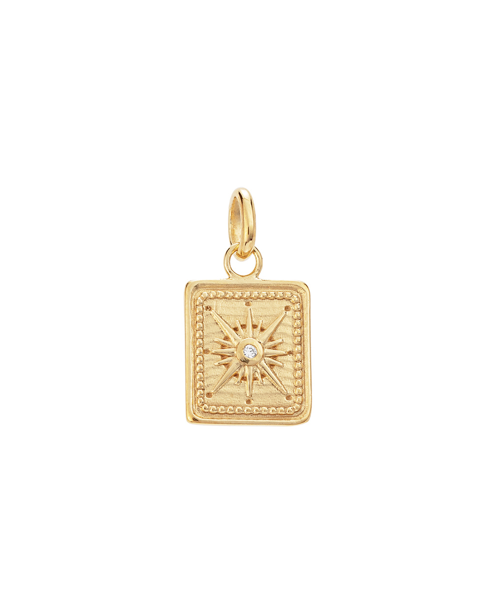 TINY TRUE NORTH COIN (18K GOLD VERMEIL) IMAGE 1